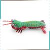 Underwater Animal Pvc Pipi Shrimp And Crab Sculptures Pack With Lifelike Marine Creatures For Aquarium Display