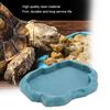ABS Resin  Reptile Rock Food and Water Dish Feeder Bowl for Tortoise   Feeder Reptile Feeder Reptile Bowl