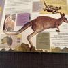[USED] ANIMAL ATLAS - Picture book English