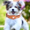 Anti Loss Dog Cat Collar Shockproof Dog Adjustable Necklace for Puppy Medium Dog
