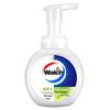 Walch Foaming Antibacterial Hand Soap, Lime Scent
