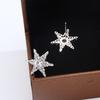 Korean Style Five Pointed Star Earrings Shining with Stars Cute Young Woman's Temperament Haoshi Earrings