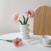 Nordic Flower Vase Pure White Imitation Ceramic Vase Hydroponic Creative Home Decor Artistic Desktop Ornament Mother'S Day Gifts