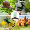 Frost Protection Plant Cage Ventilated Plant Guard from Animals Quick Setup Garden Cloches for Blueberry Bushes Vegetables Flowers Fruits Seedlings