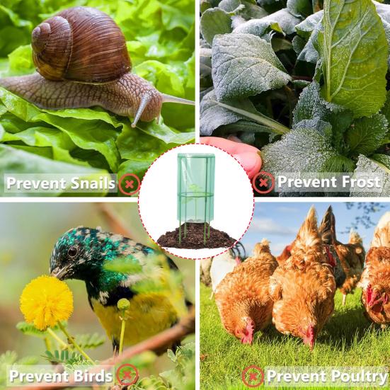 Frost Protection Plant Cage Ventilated Plant Guard from Animals Quick Setup Garden Cloches for Blueberry Bushes Vegetables Flowers Fruits Seedlings