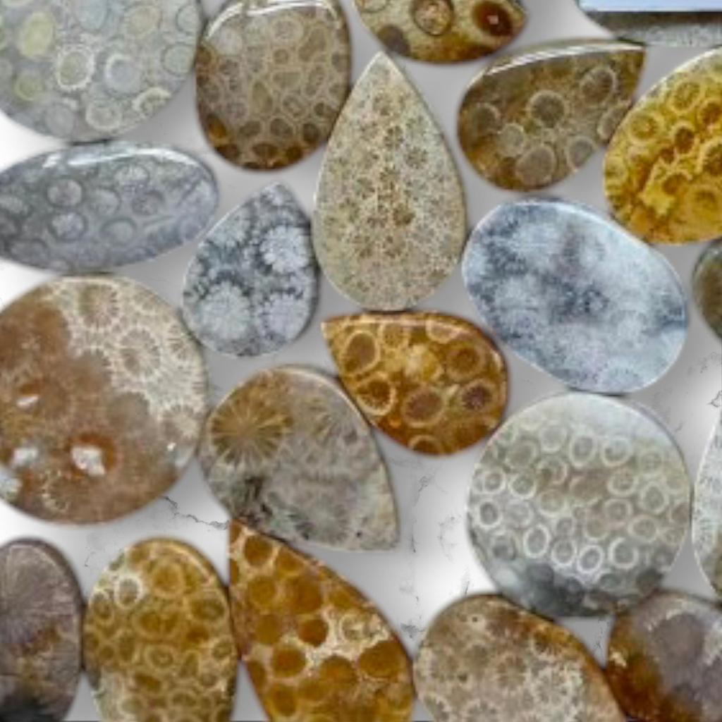 Designer Polished Natural Fossil Coral Cabochon, Loose Cabochon Lot, Mix Lot, Healing Gemstone Lot For Jewelry Making.
