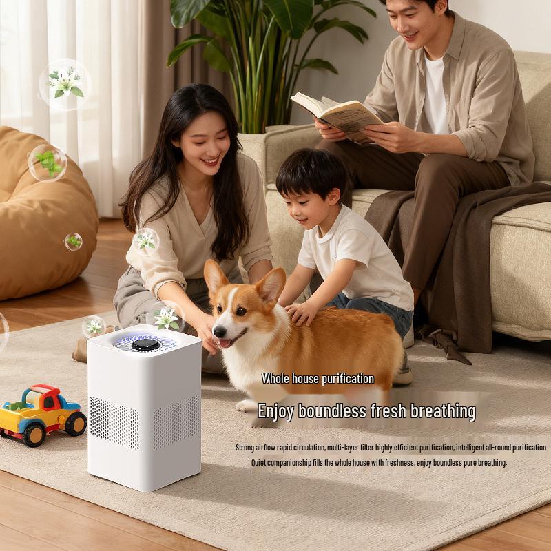 USB Air Purifier: Negative Ion, Formaldehyde & Odor Removal, Indoor Deodorizer