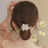 Libre Hair Clip Ponytail Updo Hair Clip