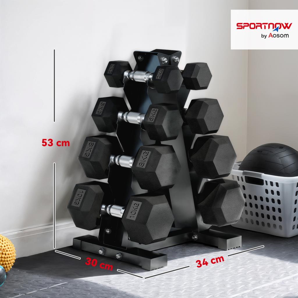 Hantelset 2x2kg 2x5kg 2x8kg 2x10kg mit Ablage für Training Schwarz