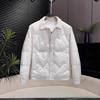 Mens Light Mature Style Collared Down Jacket TrendyMale Thin Warm Winter Coat