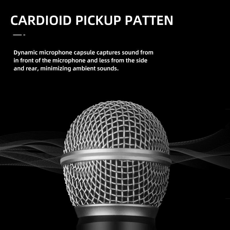 Wireless Microphone Dual Handheld Uhf Professional Karaoke For Videoke