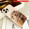 Cute Bunny Hands Up Phone Case All Inclusive Film Hard Phone Case, Compatible with iPhone 18 Pro Max 17 16 15 14 13 12 11