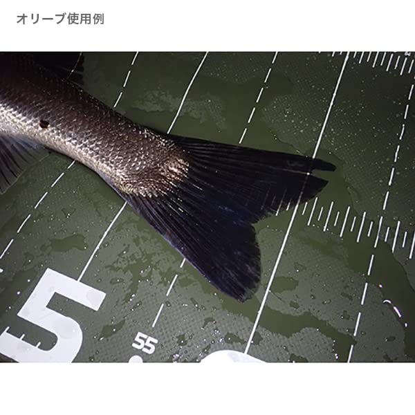 Paz Design Protect Major 120 Type II (PROTECT MAJOR 120 II) 120cm WhiteBlue PAC-316