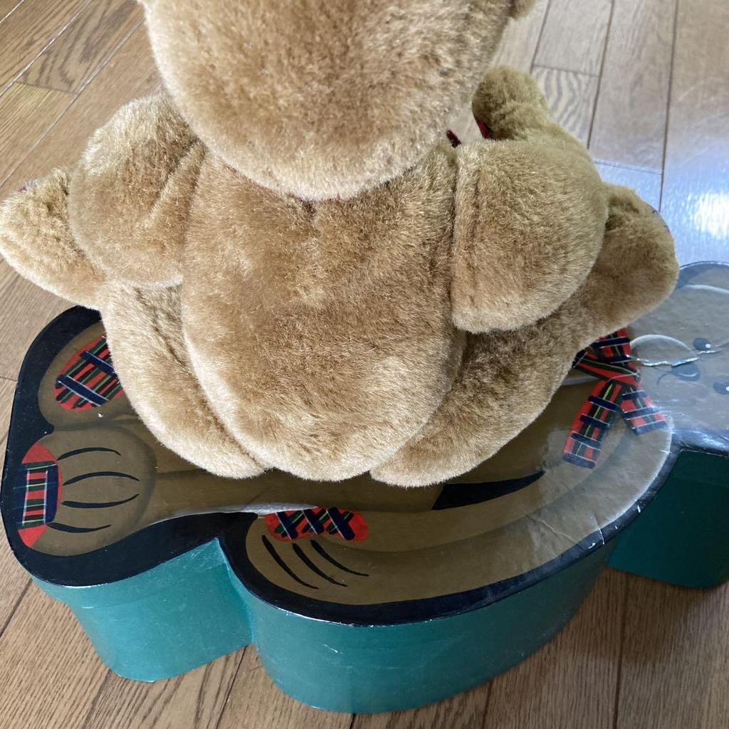 [USED] Teddy Bear In Special Box