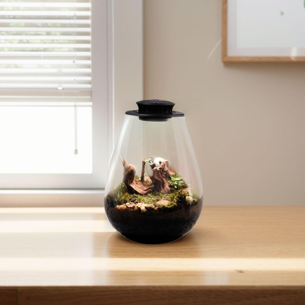 Desktop Miniature Plant Light Fern Moss Micro-Landscape Grow Light with Timer Plant Grow Light for Miniature Gardening Landscape