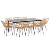 3157851 vidaXL Garden Dining Set 9 Pcs Wicker