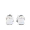 Nike Dunk LOW RETRO Leather Cushioning, Wear Resistant Low Top Skateboard Shoes Unisex White Silver HF0730-160(Team120-2)