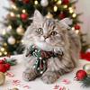 Plaid Pattern Cat Neck Tie Leash Ring .Plaid Puppy Hat Christmas Pet Collar  Puppy Kittens