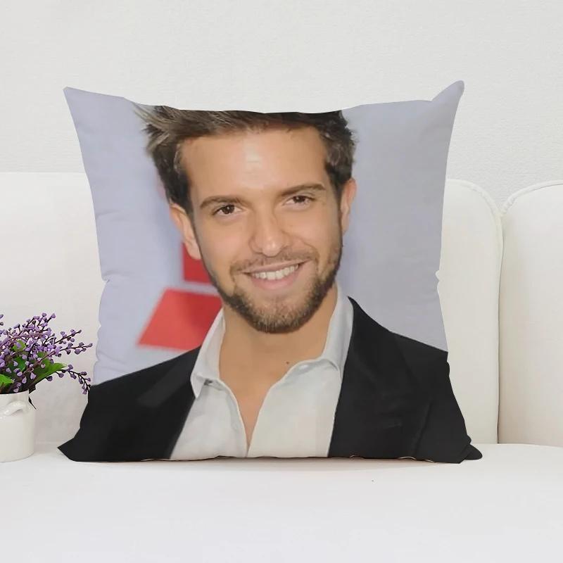 40x40cm Doppelseitig bedruckter P-Pablo Alboran Kissenbezug, Sofakissenbezug, Stuhl-Lendenkissen, Bettkissen, Geschenk Zuhause