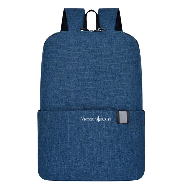 VICTORIATOURIST Lightweight 20L Laptop Backpack