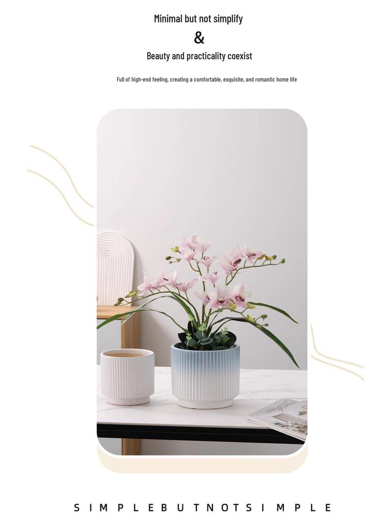 Luxury White Ceramic Hanging Flower Pot Set for Orchids and Money Trees in Living Room