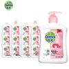 Moisturizing Hand Wash Bulk Pack