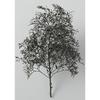 Woodland Scenics x KATO Natural Material Tree Black Dyed 24-368 Model Train Supplies