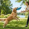 Langlebiges interaktives Hundespielzeug Bissfestes Hundetraining Spielzeug Haustier Zahnpflege Spielzeug Langeweile lindern