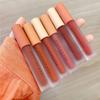 Sechs Farben Lip Glaze Velvet Matte Matte Lip Gloss Lasting White Lipstick Einzelpackung Air Lip Glaze