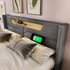 Upholstered LED Double Bed with USB Type C Charging and LED Lighting, Storage Bed Frame Made of Linen, Youth Bed 140x200 Slatted Frame (With Mattress)