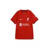 Soccer Jersey Men's Dark Red DM1843-609