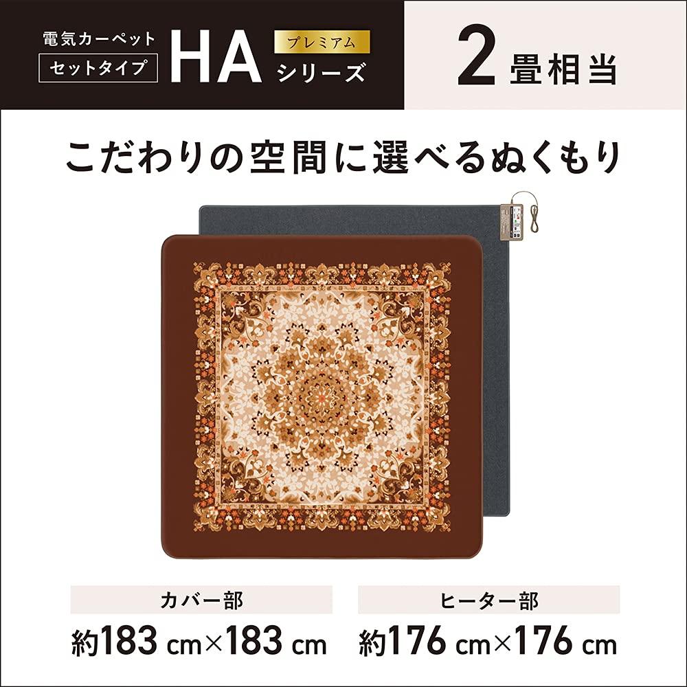 Panasonic Hot Carpet Set with Changeable Cover 2 Tatami Equivalent Brown ~ DC-2HAB5-T