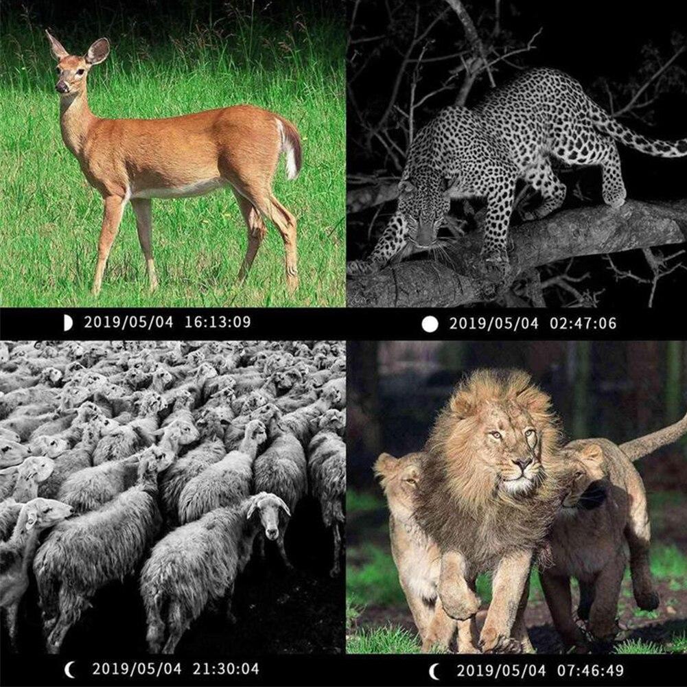 Pr300 Jagd-Hinterkamera, 0,8 s Auslösezeit, 120 Grad Po-Fallen, Nachtsicht, Wildtier-Scouting-Kamera, Po-Fallen, Spur