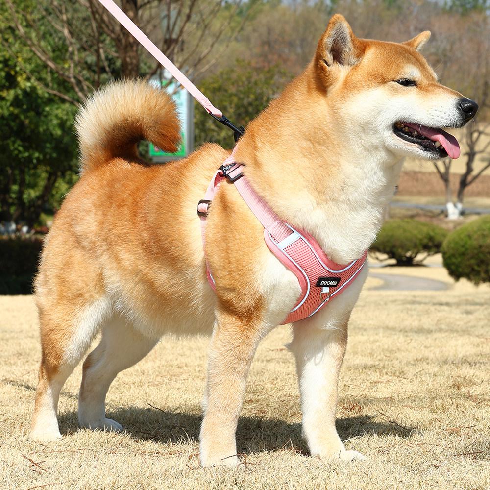 Harnais Gilet Respirant Réglable & Laisse pour Chiens de Petite à Moyenne Taille - Sans Rembourrage, Sans Étranglement, Idéal pour les Shiba Inus & Bouledogues Français