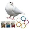 100 Peças/Conjunto Anéis de Pé para Pombos Bandas de Pé para Pintinhos Pássaros Anéis de Identificação de Perna de Alumínio para Codornas Pombos Anéis de Clipe Acessórios para Aves