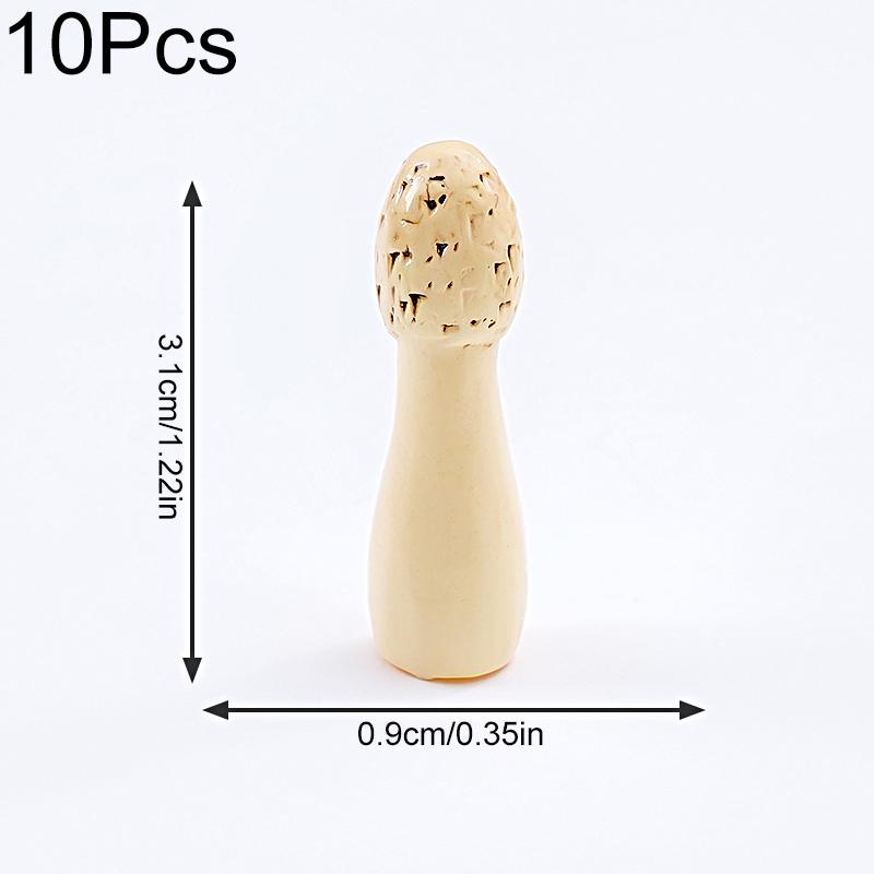 10pcs Mini Ornaments DIY Resin Mushroom Ornaments Cute Simulation Mushroom Black Fungus 11 Styles