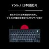 Princeton ULTRA PLUS UP Trigger Compatible Gaming Keyboard with Rapid Triggers, 75% Magnetic Non-Contact Switches, Wired, SOCD Function, CNC Full Alum