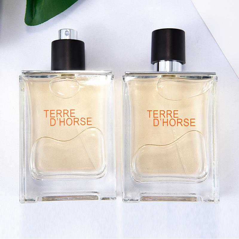 Earth Men's Perfume, Woody Fragrance Lasting Fragrance Light Fragrance 100ml Cologne