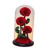 Valentines Day Gifts for Mom,Eternal Rose In Glass Dome, Valentines Day Decor