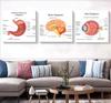 Human Organs Brain Liver Heart Anatomy Poster Print Canvas Painting Human Body Map Medical Classroom Office Room Home Decoration