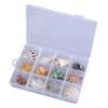 Floating Seashells Display Box Large-capacity Seashells Decorative Storage Box for Home and Beach Decoration