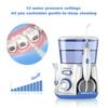 Electric Oral Irrigator with 5 nozzles Water Flosser for Teeth Mouth Washing Machine 800ML Water Tank Teeth Cleaner 10 levels