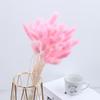 Rabbit Tail Grass Dried Flower Bouquet Home Decoration Flower Arrangement Dog Tail Grass Dried Flower Rabbit Tail Grass