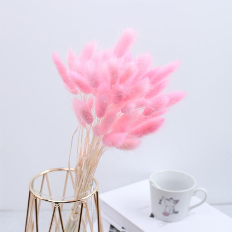 Rabbit Tail Grass Dried Flower Bouquet Home Decoration Flower Arrangement Dog Tail Grass Dried Flower Rabbit Tail Grass