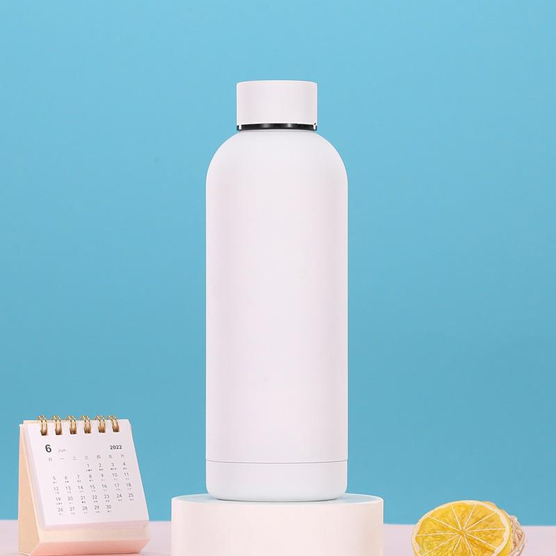 Portable Stainless Steel Vacuum Thermos Cup with Handle