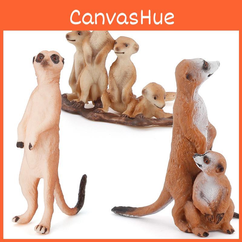 Pvc Mongoose Realistic Animal Model Toy For Kids Learning Gifts Decorations