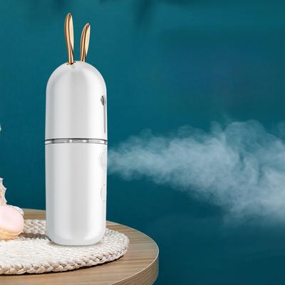 Instrument Spray Hidratant Desene Animate Vaporizator Facial de Uz Casnic Portabil cu Încărcare, Spray Rece, Instrument Hidratant pentru Față