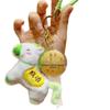 Zodiac Little Horse 999 Pure Gold Keychain & Phone Charm Gift