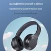 ThinkPlus TH10B Wireless Sports Headphones