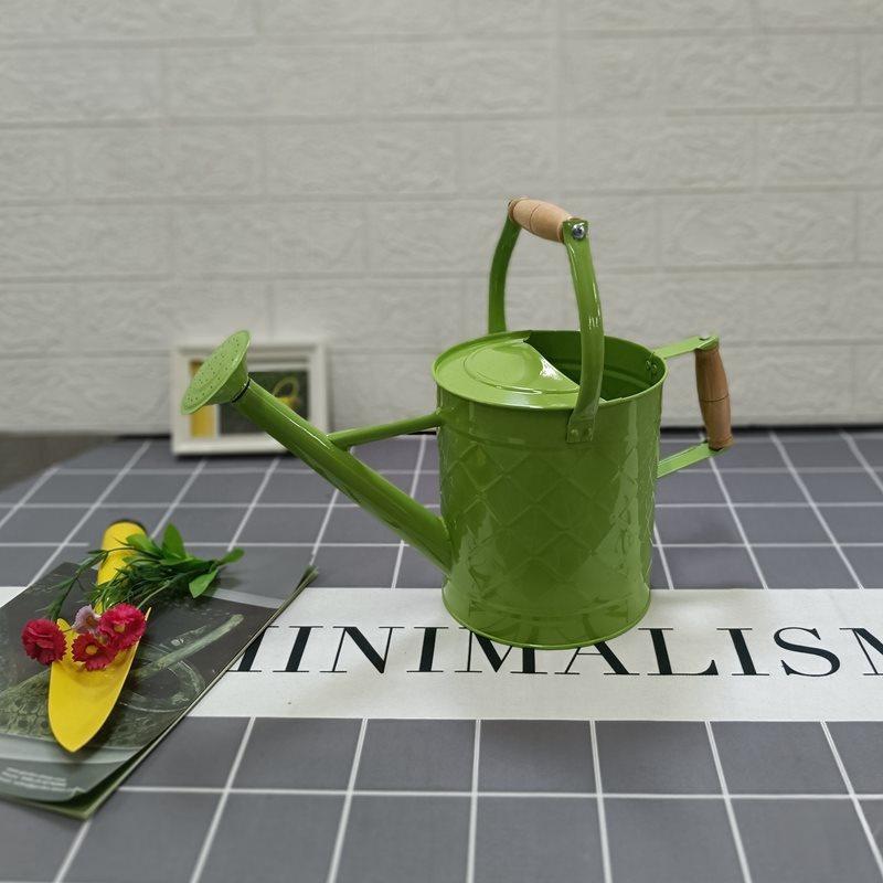 Large-Capacity Dual-Use Iron Watering Can: Ideal for Home Flower Care, Vegetable Planting, and Gardening Spraying.